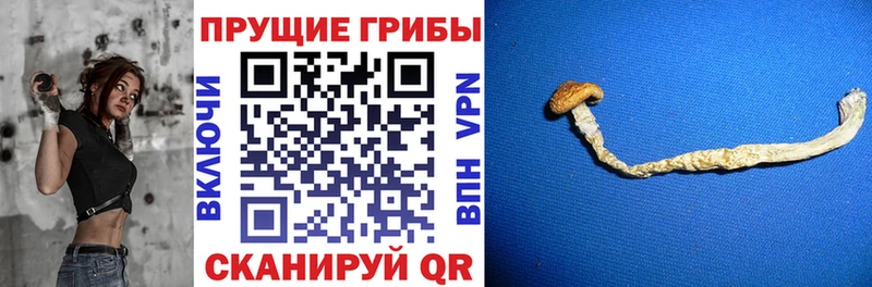 Галлюциногенные грибы GOLDEN TEACHER  цена наркотик  Сосновка 